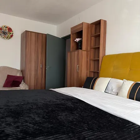 Campus Comfort Apartment