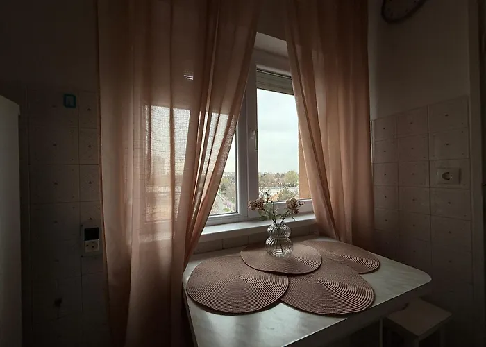 Campus Comfort Temešvár