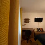 Campus Comfort * Timisoara
