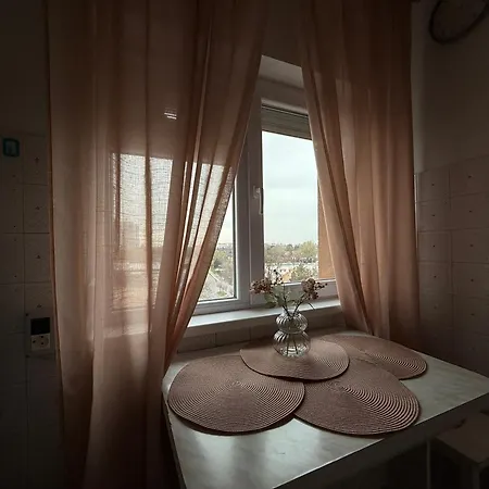Campus Comfort 티미쇼아라