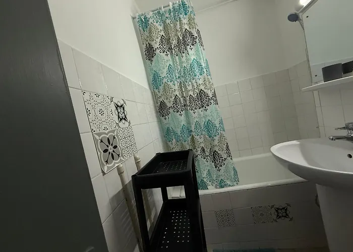 Campus Comfort Timişoara