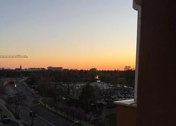 Campus Comfort * Timişoara