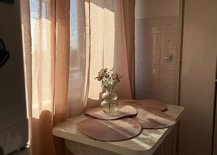 Campus Comfort Timişoara